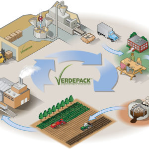 verdepack1024 Organic Recyclable Plates Infographic